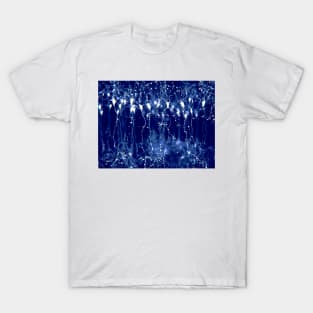 Pyramidal neurons in the cerebral cortex, illustration (F023/0917) T-Shirt